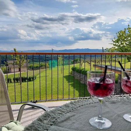 Vineyard Lan Na Hribu *